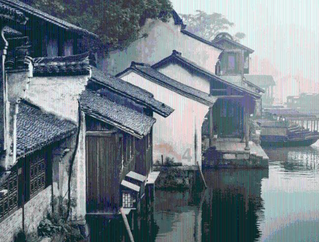 救援鹦鹉